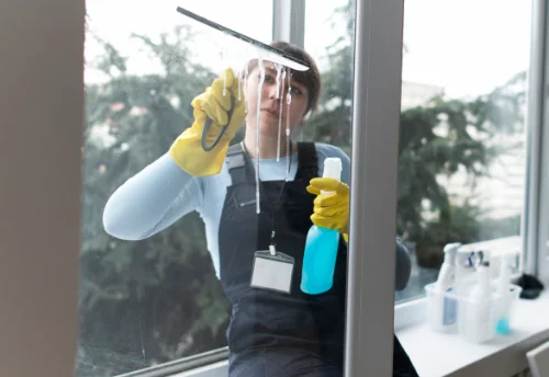 Nettoyage de vitres intérieures et extérieures à Paizay-le-Chapt